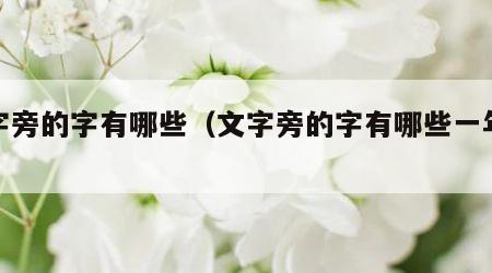 文字旁的字有哪些（文字旁的字有哪些一年级）