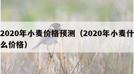2020年小麦价格预测（2020年小麦什么价格）
