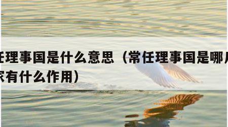 常任理事国是什么意思（常任理事国是哪几个国家有什么作用）