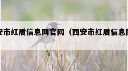 西安市红盾信息网官网（西安市红盾信息网注册）