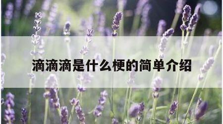 滴滴滴是什么梗的简单介绍
