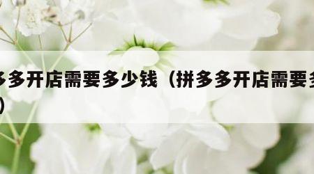 拼多多开店需要多少钱（拼多多开店需要多少钱?）