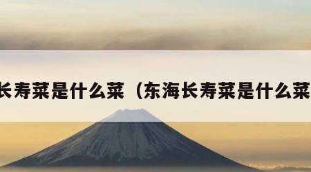 长寿菜是什么菜（东海长寿菜是什么菜）