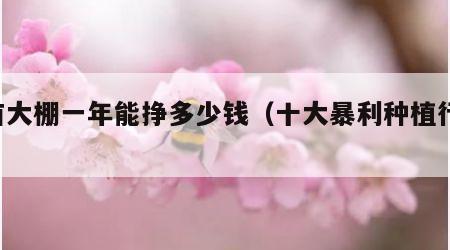 4亩大棚一年能挣多少钱（十大暴利种植行业）
