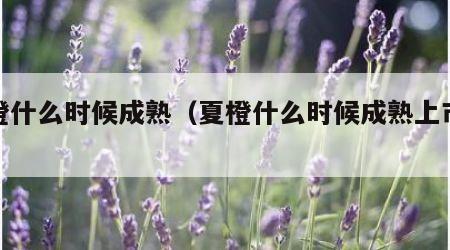 夏橙什么时候成熟（夏橙什么时候成熟上市产地）