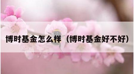 博时基金怎么样（博时基金好不好）