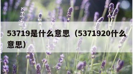 53719是什么意思（5371920什么意思）