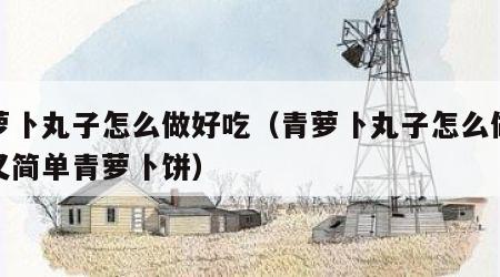 青萝卜丸子怎么做好吃（青萝卜丸子怎么做好吃又简单青萝卜饼）