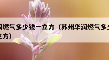 华润燃气多少钱一立方（苏州华润燃气多少钱一立方）