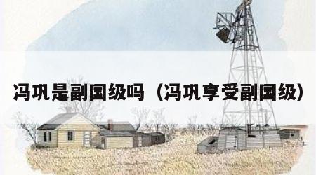 冯巩是副国级吗（冯巩享受副国级）