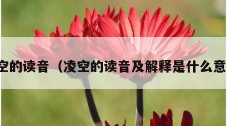 凌空的读音（凌空的读音及解释是什么意思）