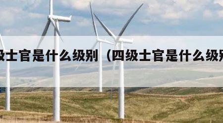 四级士官是什么级别（四级士官是什么级别待遇）