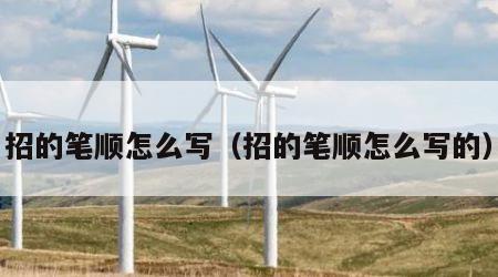 招的笔顺怎么写（招的笔顺怎么写的）