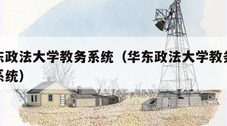 华东政法大学教务系统（华东政法大学教务信息系统）