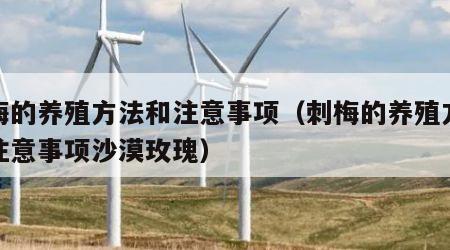 刺梅的养殖方法和注意事项（刺梅的养殖方法和注意事项沙漠玫瑰）