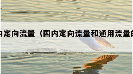 国内定向流量（国内定向流量和通用流量的区别）