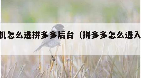 手机怎么进拼多多后台（拼多多怎么进入app）