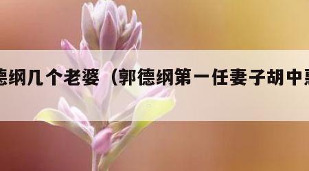 郭德纲几个老婆（郭德纲第一任妻子胡中惠照片）