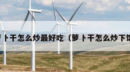 萝卜干怎么炒最好吃（萝卜干怎么炒下饭）