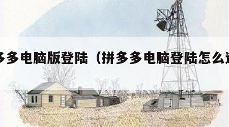 拼多多电脑版登陆（拼多多电脑登陆怎么退出）