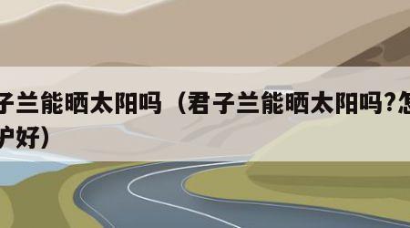 君子兰能晒太阳吗（君子兰能晒太阳吗?怎么养护好）