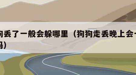 狗狗丢了一般会躲哪里（狗狗走丢晚上会一直走吗）