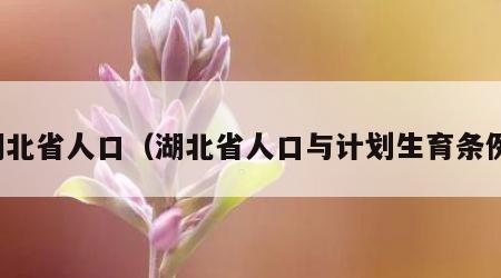 湖北省人口（湖北省人口与计划生育条例）