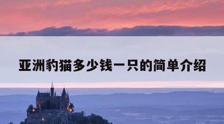 亚洲豹猫多少钱一只的简单介绍