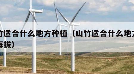 山竹适合什么地方种植（山竹适合什么地方种植海拔）