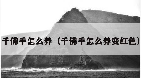千佛手怎么养（千佛手怎么养变红色）