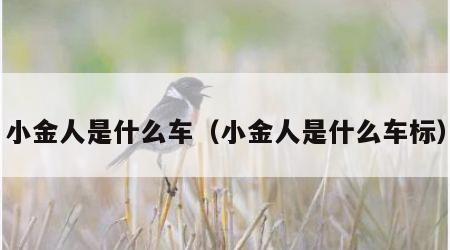 小金人是什么车（小金人是什么车标）