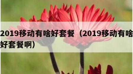 2019移动有啥好套餐（2019移动有啥好套餐啊）