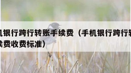 手机银行跨行转账手续费（手机银行跨行转账手续费收费标准）