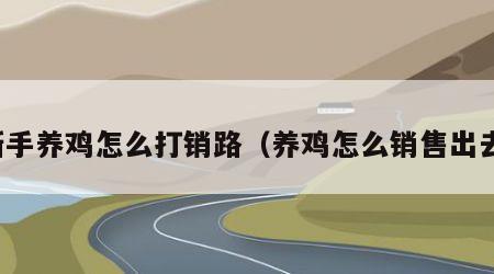 新手养鸡怎么打销路（养鸡怎么销售出去）