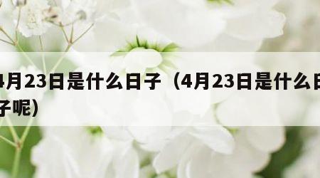 4月23日是什么日子（4月23日是什么日子呢）
