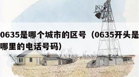 0635是哪个城市的区号（0635开头是哪里的电话号码）