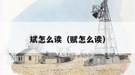 斌怎么读（赋怎么读）