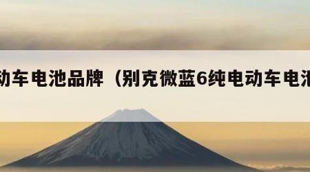 电动车电池品牌（别克微蓝6纯电动车电池品牌）