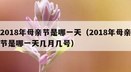 2018年母亲节是哪一天（2018年母亲节是哪一天几月几号）