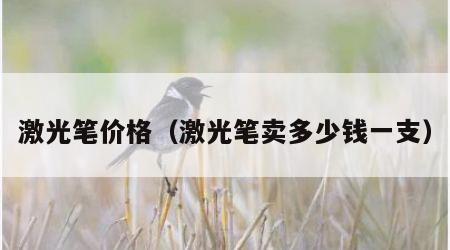 激光笔价格（激光笔卖多少钱一支）