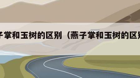 燕子掌和玉树的区别（燕子掌和玉树的区别图解）