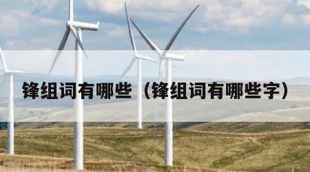 锋组词有哪些（锋组词有哪些字）
