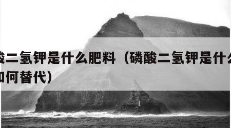 磷酸二氢钾是什么肥料（磷酸二氢钾是什么肥料如何替代）