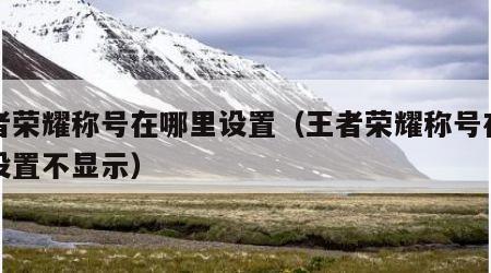 王者荣耀称号在哪里设置（王者荣耀称号在哪里设置不显示）
