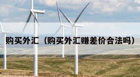 购买外汇（购买外汇赚差价合法吗）