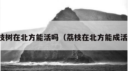 荔枝树在北方能活吗（荔枝在北方能成活吗）