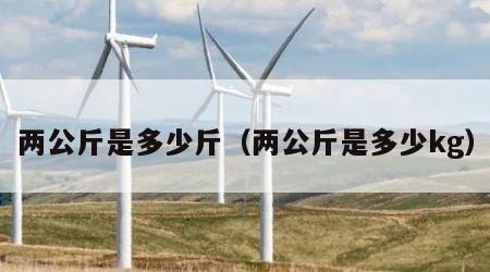 两公斤是多少斤（两公斤是多少kg）