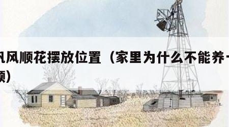 一帆风顺花摆放位置（家里为什么不能养一帆风顺）
