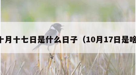 十月十七日是什么日子（10月17日是啥）