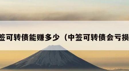 中签可转债能赚多少（中签可转债会亏损吗）